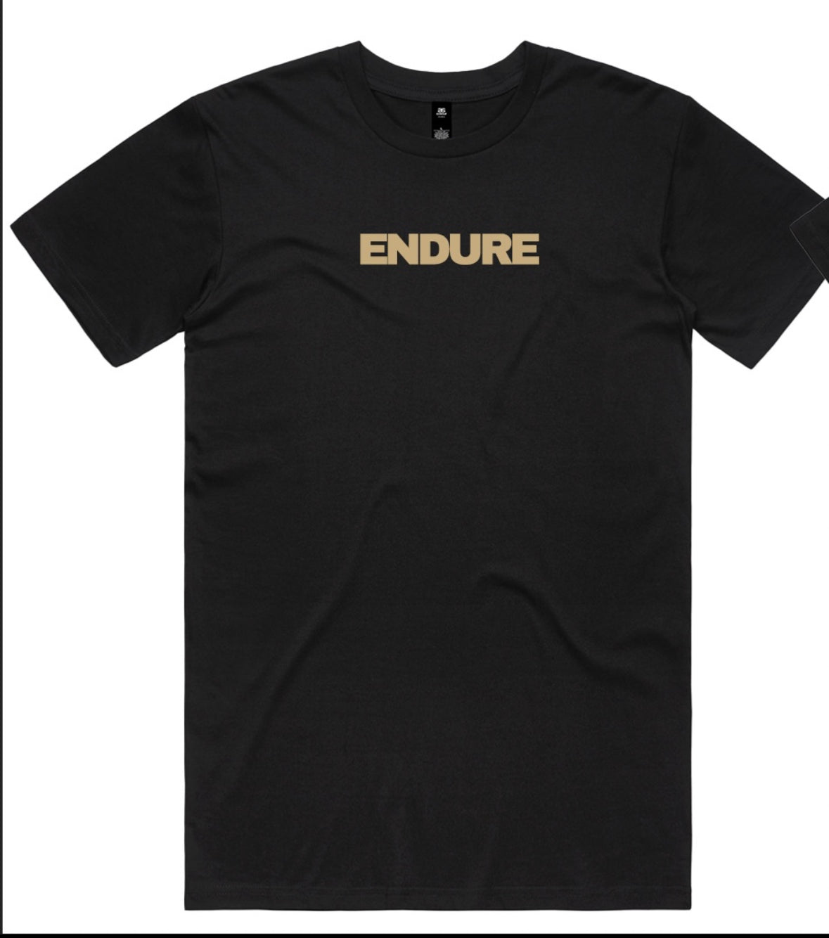 Endure The Process Tee